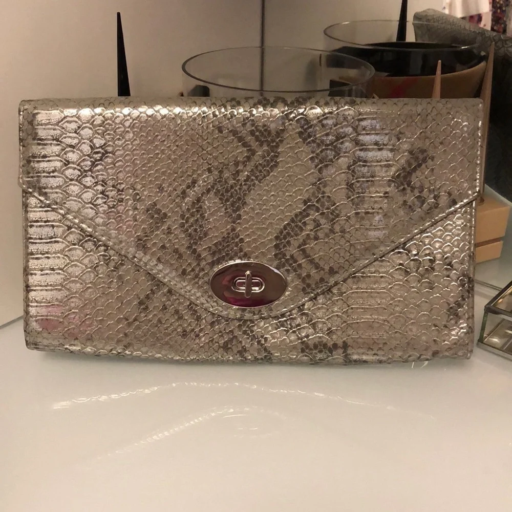 H&M Silver Snakeskin Clutch